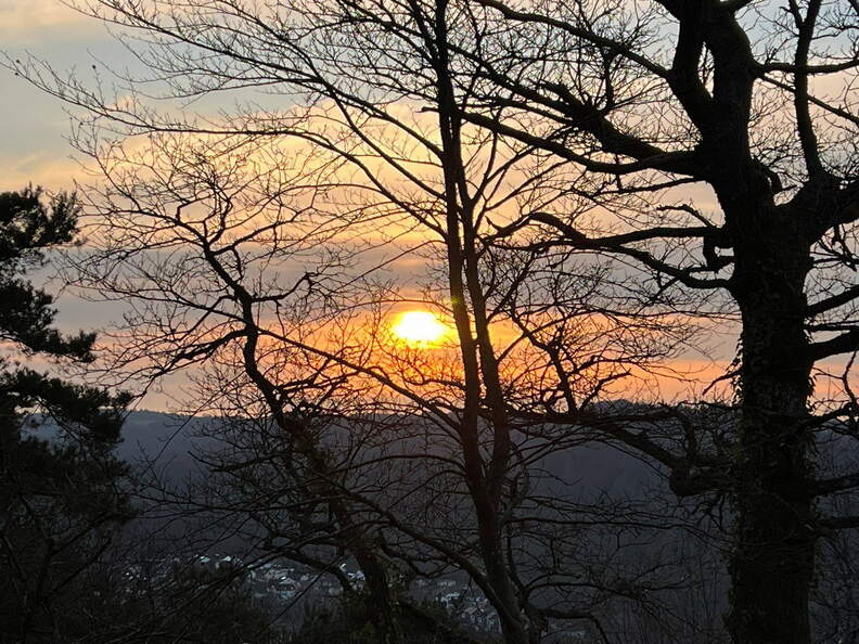 24-02-28 17-48-29 94f5